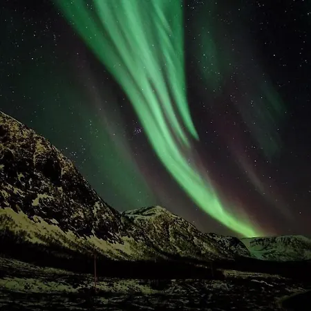 In * Senja